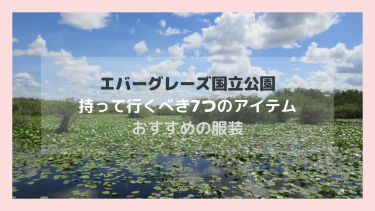 エバーグレーズ国立公園 持って行くべき７つのアイテム おすすめの服装